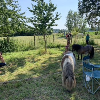 Ateliers Découvertes d'Equicoaching, Booster vos compétences Relationnelles et votre Agilité Emotionnelle