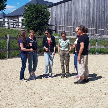 Séminaire & Teambuilding, pour renforcer la cohésion d'équipe et développer des compétences relationnelles, Soft Skills