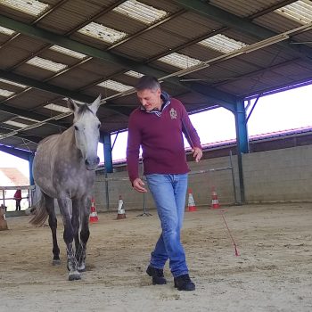 "La Force du Lien" une Véritable relation de confiance et de coopération entre deux êtres humains et ou equins
